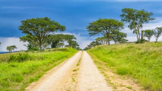 istock_4319_queenenatlpark