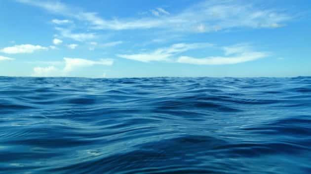 istock_041519_oceandogrescue