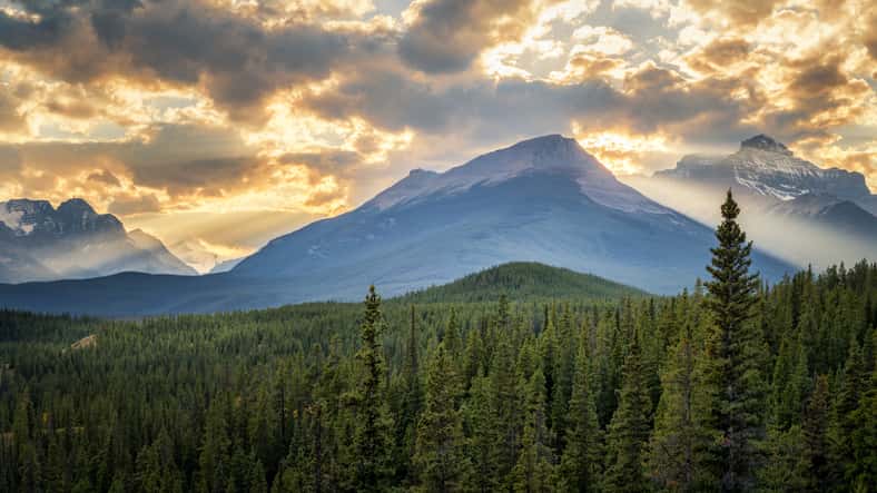 istock_041919_albertanatlpark