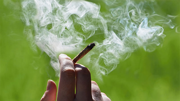 istock_041919_weed