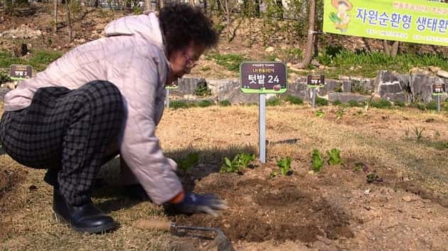 042019_abcnews_skgarden