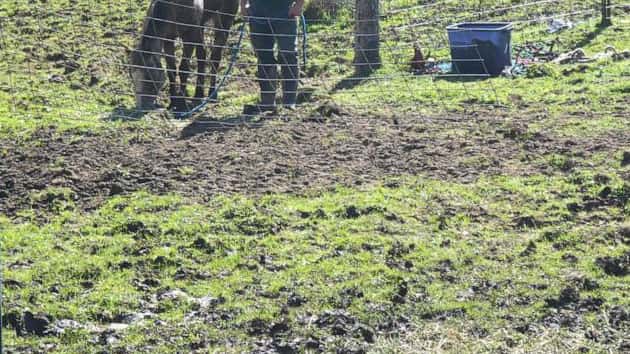 042819_linncounty_mudhorses