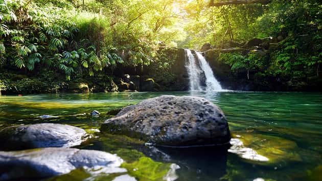 051219_istock_maui