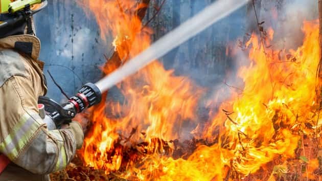 istock_51619_wildfire