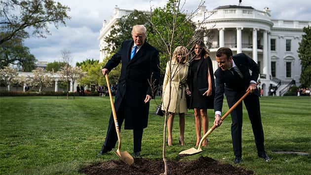 061019_getty_trumpmacrontree