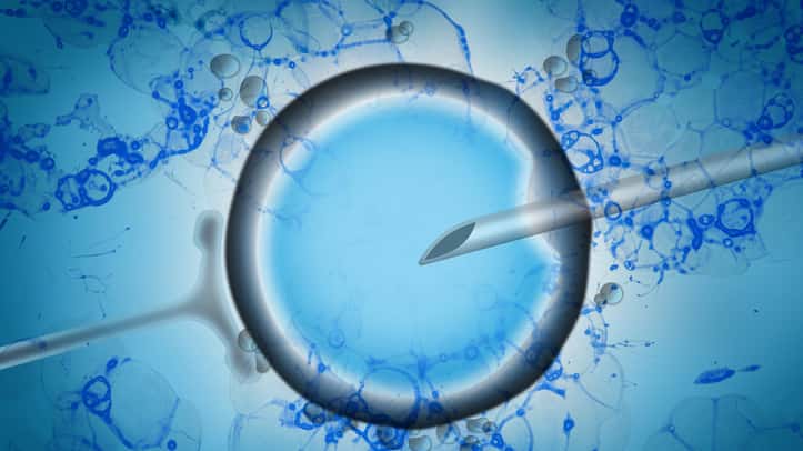istock_061319_invitrofertilization