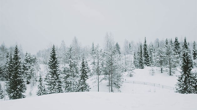 istock_061419_sibera