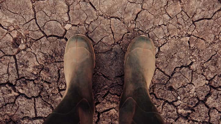 istock_062619_drought