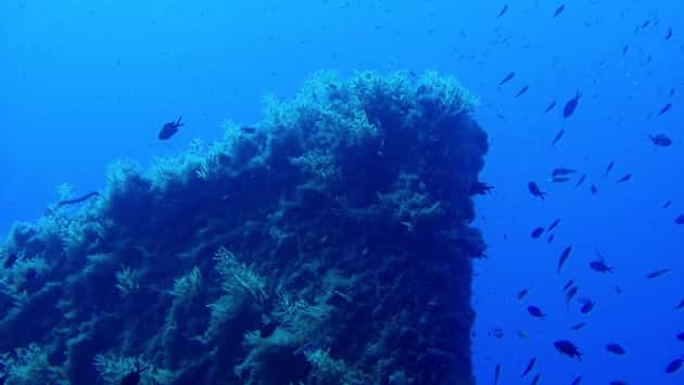 istock_082219_titanic