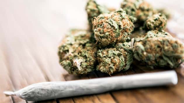 istock_82919_marijuana