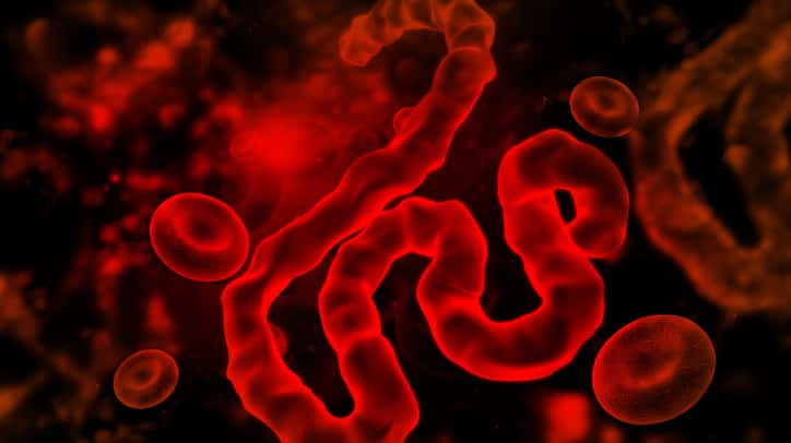 istock_082919_ebola
