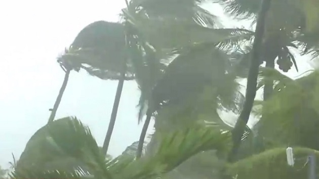 090219_abcnews_doriantrees