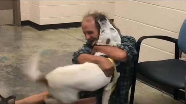 091419_memphisanimalservices_dog