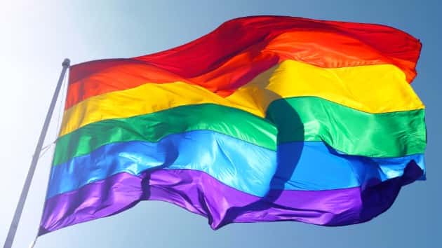 istock_10919_gayflag