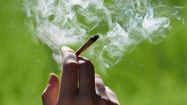 istock_101419_maurijuana