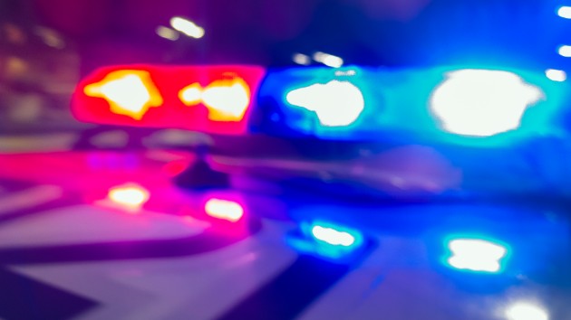 istock_102319_policelightsnight