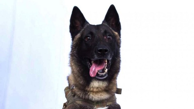 dog-ht-er-191028_hpmain_4x3_992