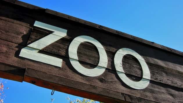 istock_103119_zoobreakin