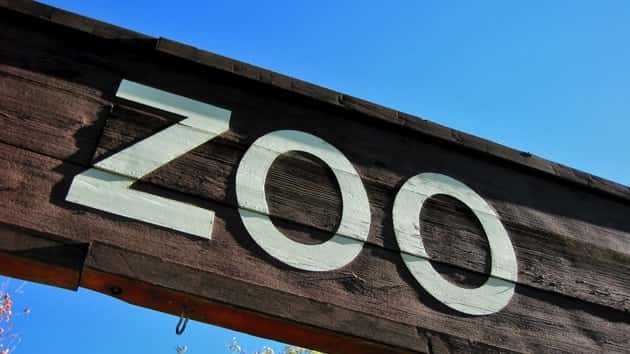istock_110719_zootheft