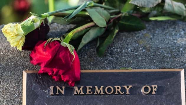 istock_110719_inmemory