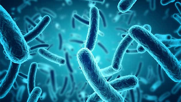 istock_111219_bacteria