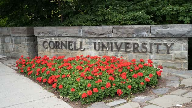 istock_cornell_111719