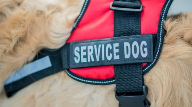 istock_111819_servicedog