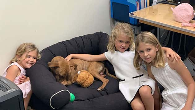 111819_chase-scottbigdogrescue_miracle