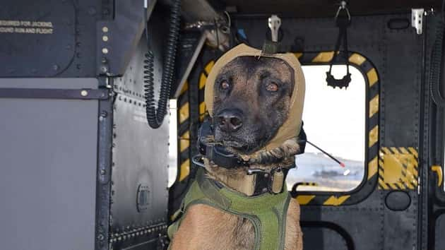 military-dog-ht-jt-191120_hpmain_4x3_992