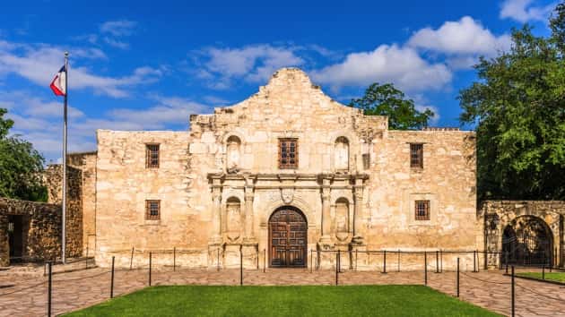 istock_121619_alamo