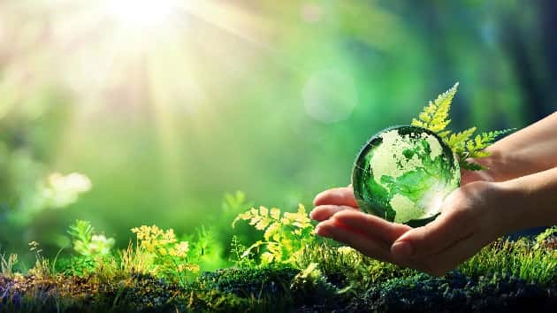 istock_123119_environment