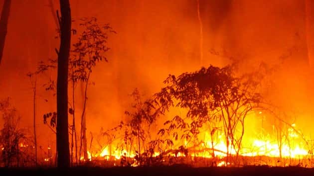 istock_1620_wildfiresaussie