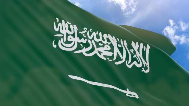 istock_11420_saudiflag