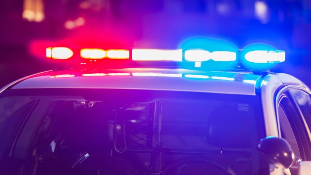 istock_11420_policelights