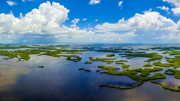 istock_everglades_011620