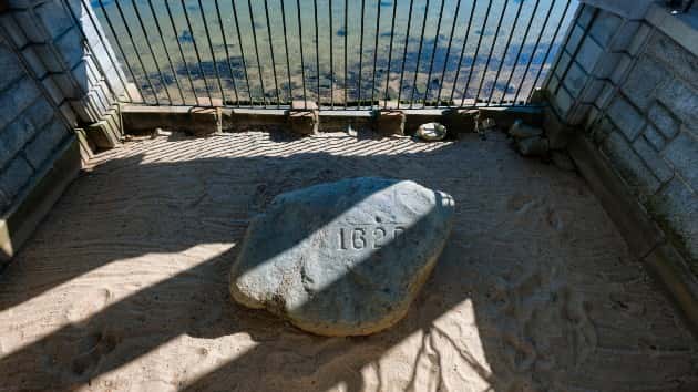 istock_21820_plymouthrock