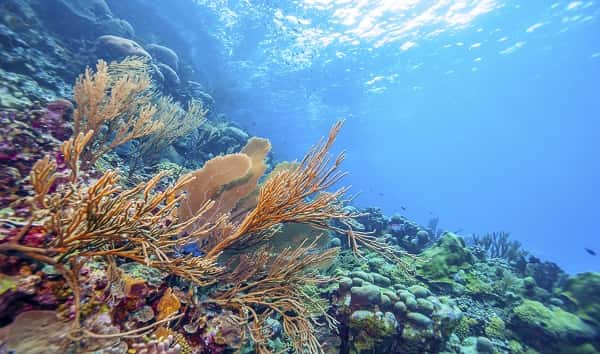 istock_022220_ocean_johnandersonphoto