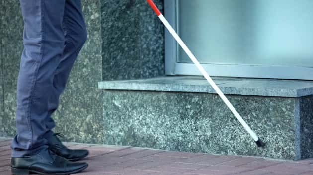 istock_32020_walkingstick