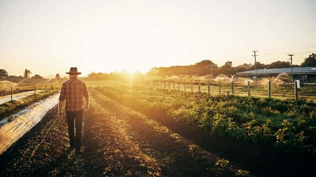 istock_4120_farmeronland