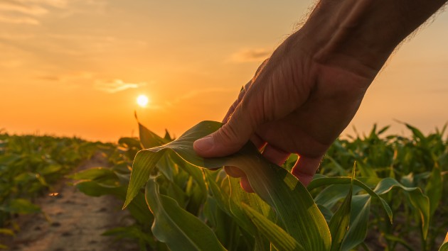 istock_41520_farmerhand