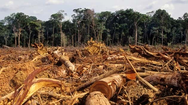 istock_5620_deforestationamazon