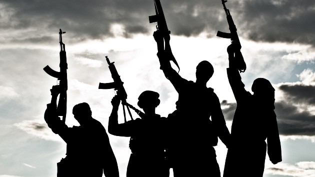 istock_51320_militantssilhouette