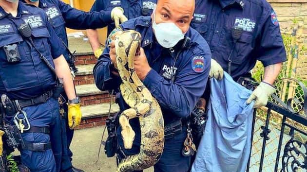 051620_nypd_snake