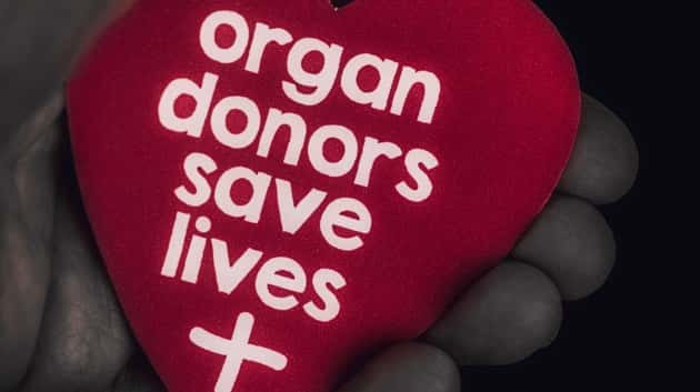 istock_062420_organdonors