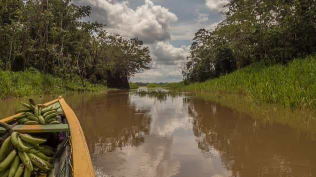 istock_63020_amazonriver