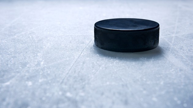 istock_7620_hockeypuck