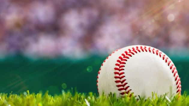 istock_072420_bluejays