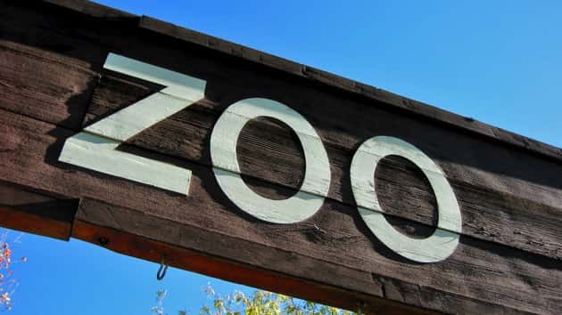 istock_080320_stlouiszoo