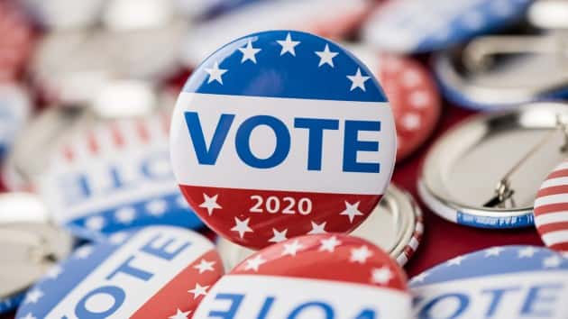 istock_8420_vote2020pins