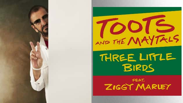 m_ringostarrtootsandthemaytalsthreelittlebirds630_080720